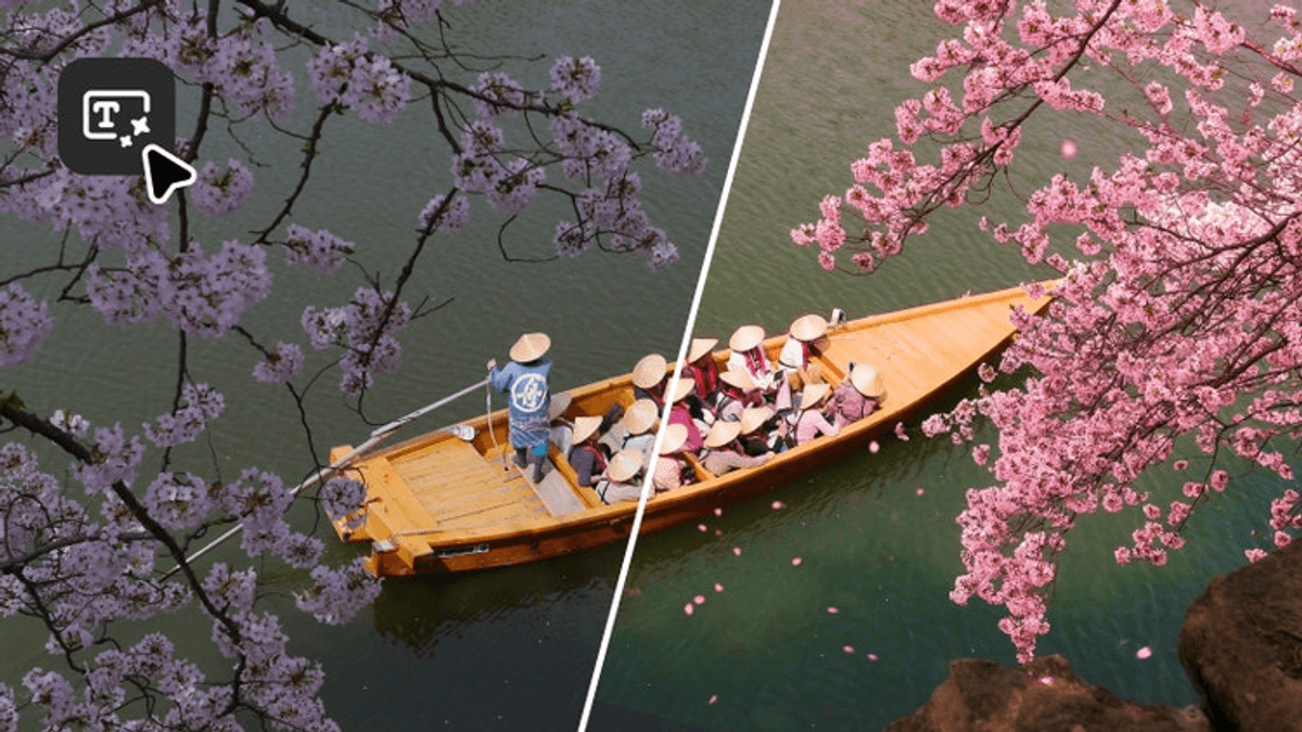 Visuel public Adobe Stock montrant un changement d’ambiance sur une image