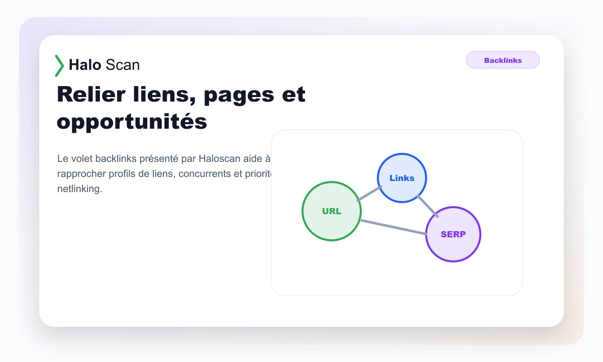 Aperçu Haloscan montrant la relation entre liens, pages et SERP