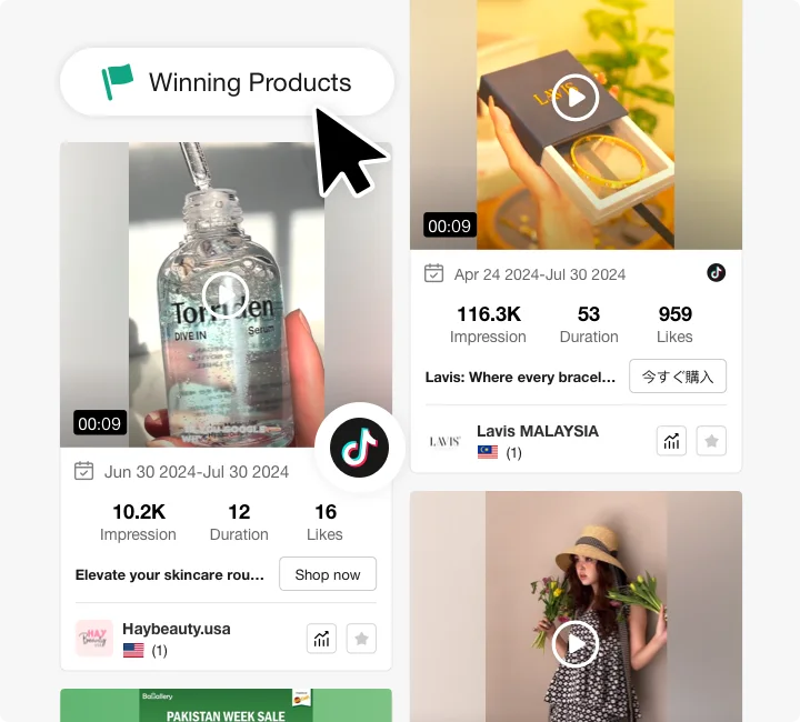 Public PiPiADS preview showing winning products and related video ads