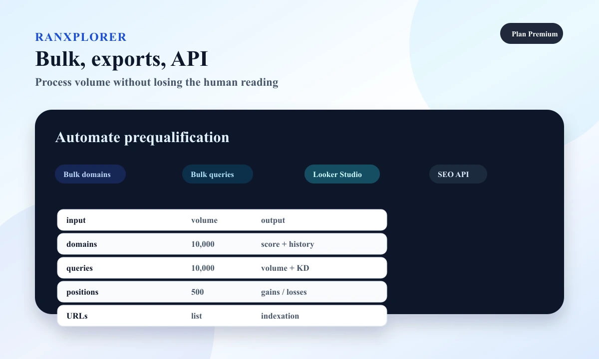 Ranxplorer preview showing exports, bulk checks, and API signals