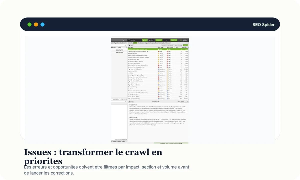 Aperçu Screaming Frog Issues avec erreurs et avertissements SEO