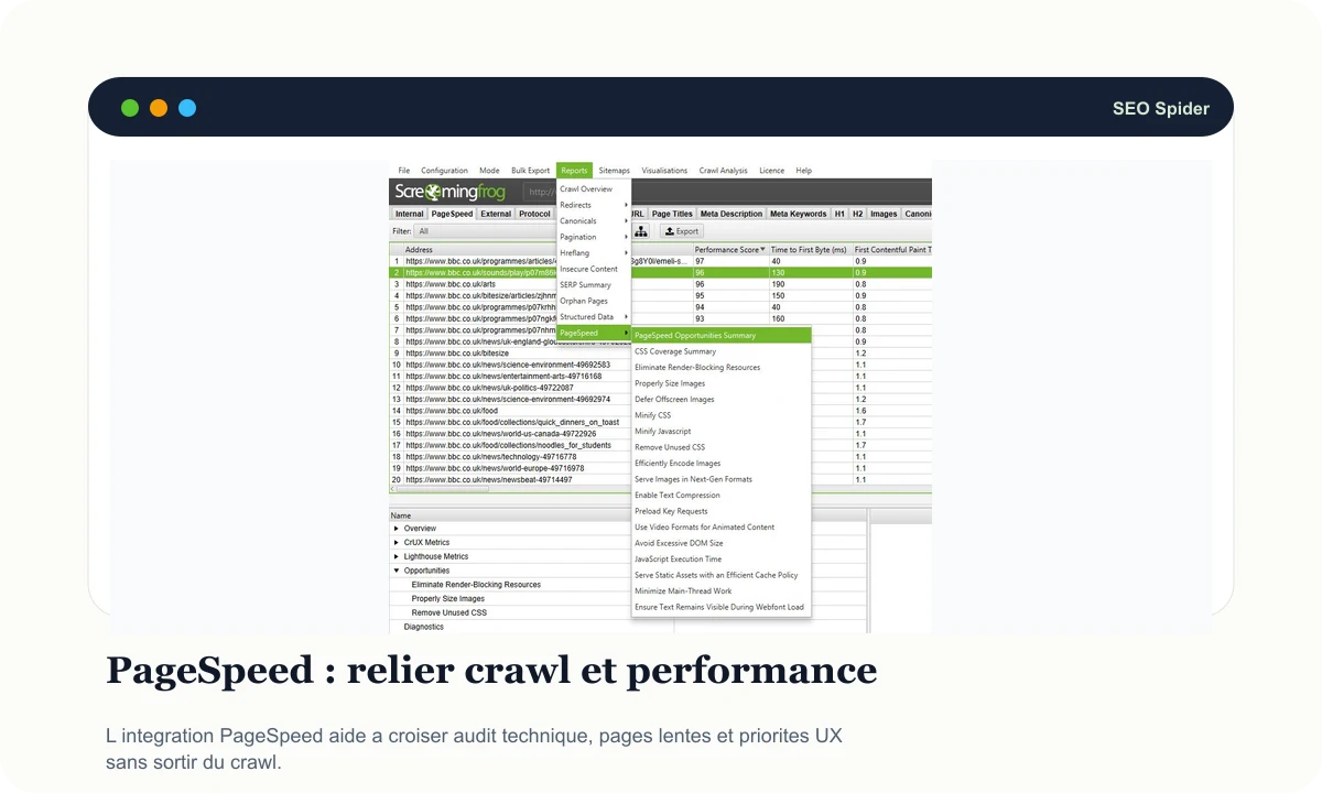 Aperçu Screaming Frog PageSpeed avec menu de rapports performance
