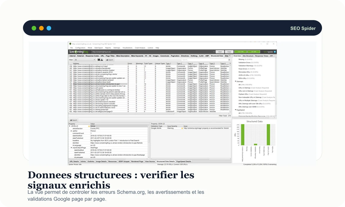 Aperçu Screaming Frog données structurées avec erreurs et validations