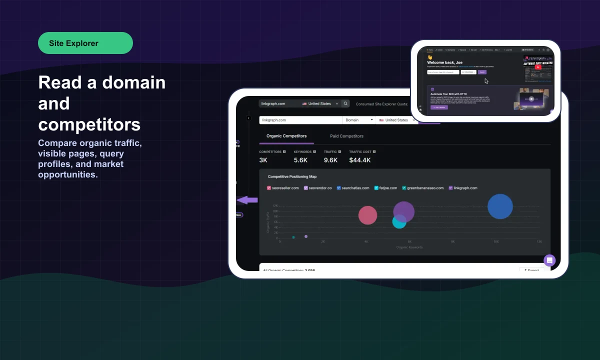 Public SearchAtlas Site Explorer preview with domain analysis