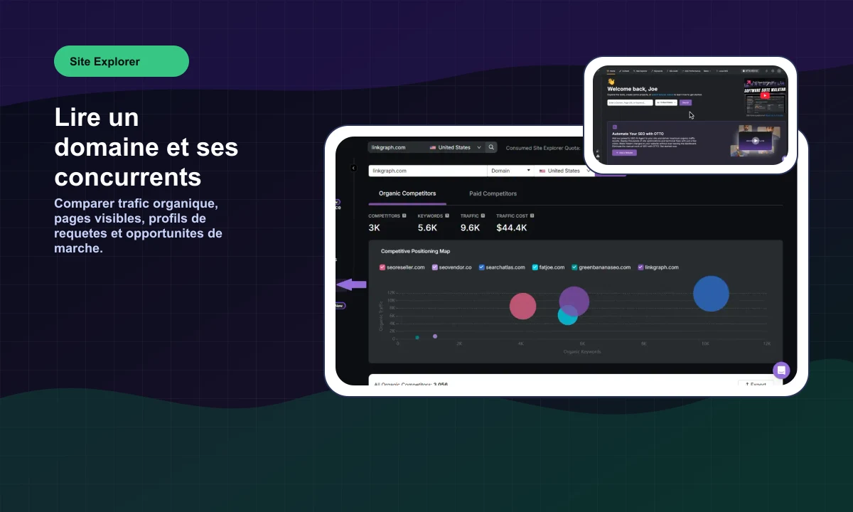 Aperçu public SearchAtlas Site Explorer avec analyse de domaine