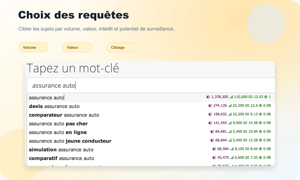 SeObserver preview for choosing queries by volume, value, and potential