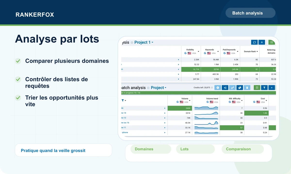 Aperçu Serpstat montrant une analyse par lots de domaines et de requêtes