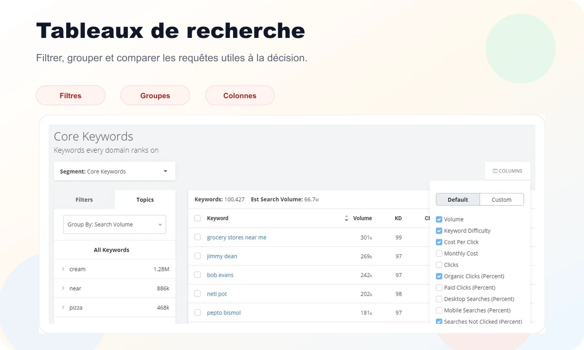 Aperçu SpyFu avec tableau de requêtes, filtres, groupes et colonnes