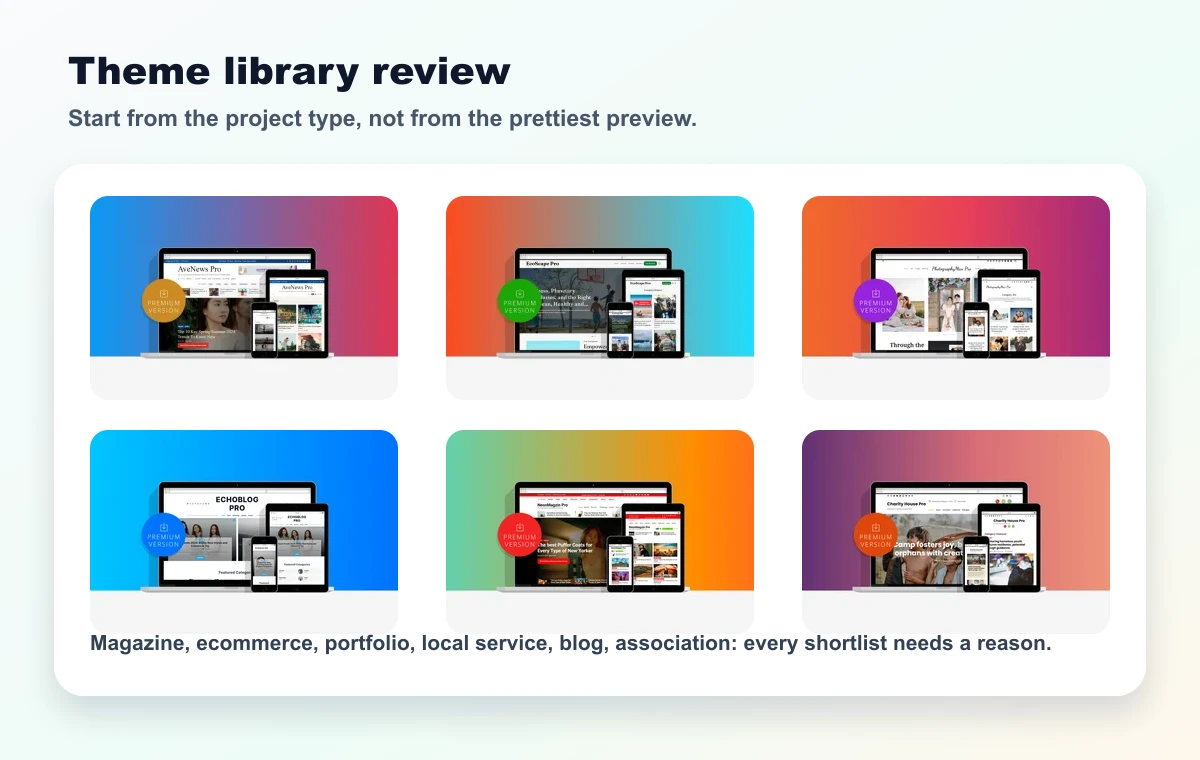 ThemeinWP preview showing several public WordPress themes to compare before selection
