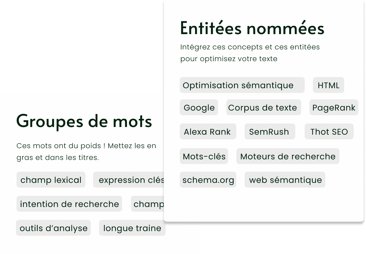 Visuel officiel Thot SEO montrant les entités nommées et groupes de mots