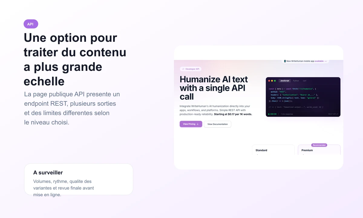 Aperçu public de la page API WriteHuman