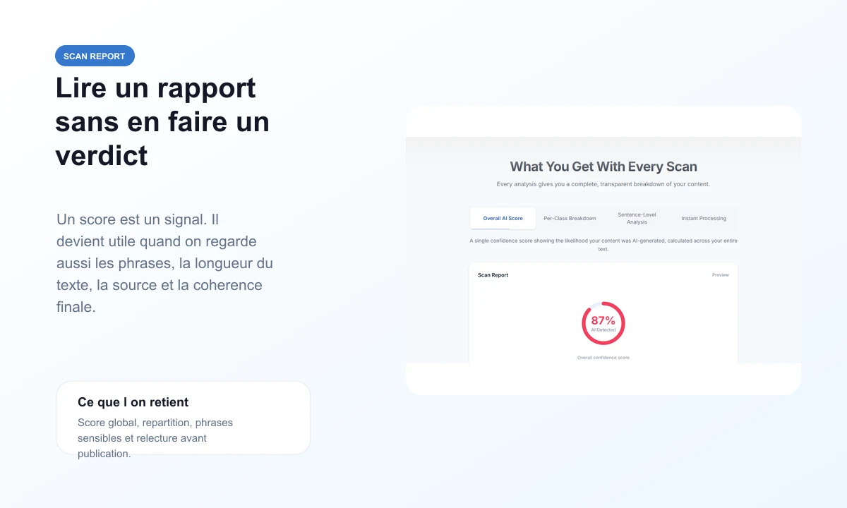 Aperçu public d'un rapport de scan WriteHuman