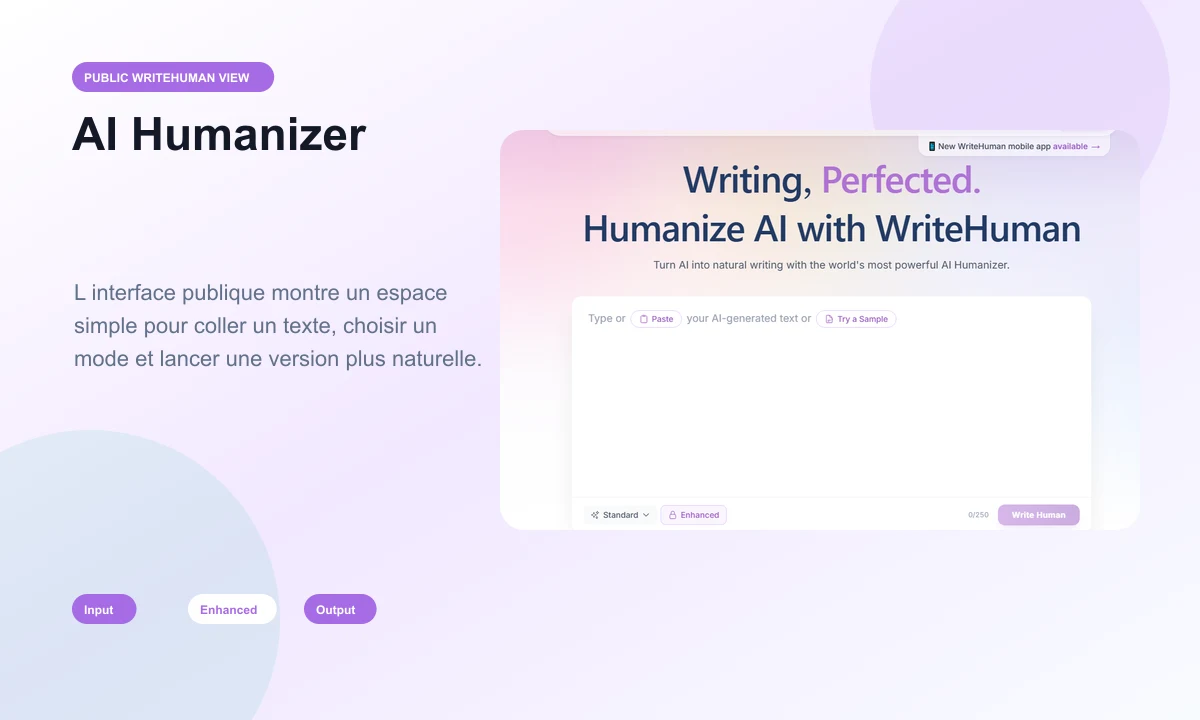Aperçu public du module AI Humanizer WriteHuman